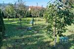 Plac, Jagodina, prodaja, 1331m2, 18500e, id750355